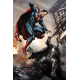 13201A5 Vafa Batman vs Superman 20X15cm